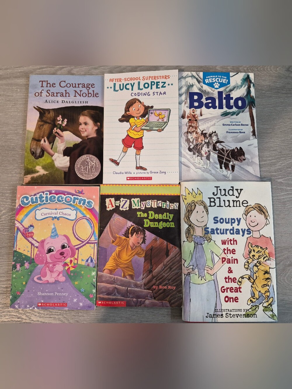 Elementary Age Short Chapter Books Bundle Grades 2-4